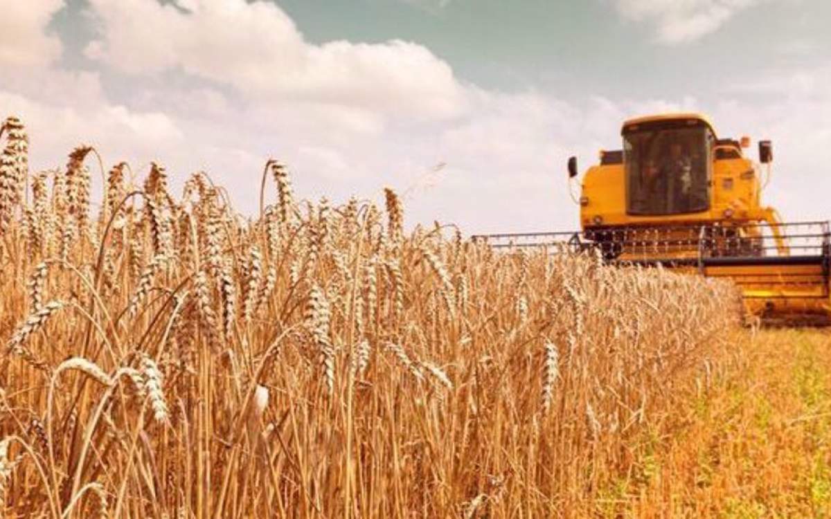 Some Iranian provinces have reported increases of up 100% in their wheat production this year.