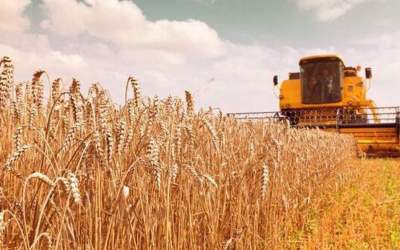 Some Iranian provinces have reported increases of up 100% in their wheat production this year.