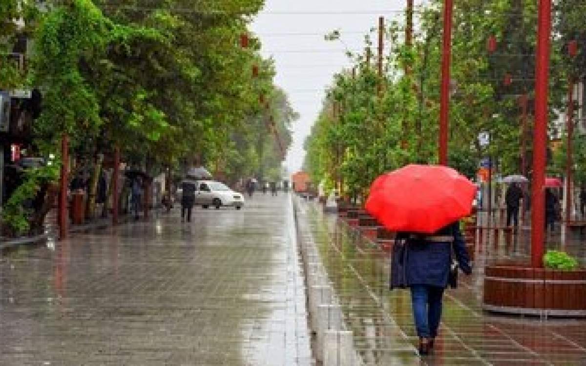 بارش باران