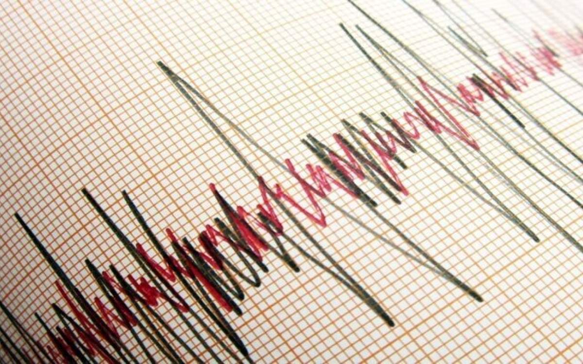 Powerful earthquake rocks western Iran