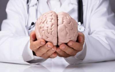 مغز زنان «جوان‌تر از نظر متابولیک» است؛ کوچک شدن سریع‌تر مغز مردان طبق مطالعات جدید