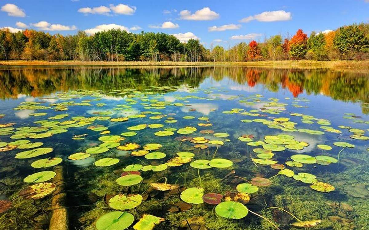 تالاب‌های ایران؛ میراث طبیعی که نفس‌های آخر را می‌کشد